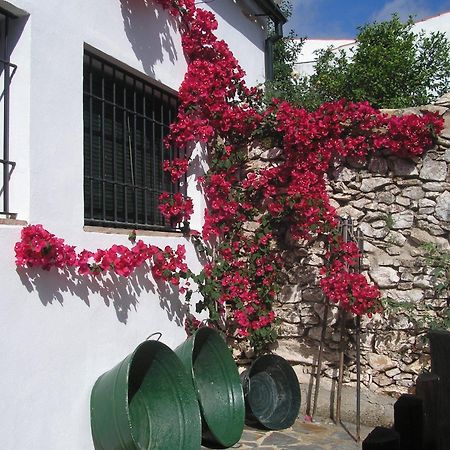 Gasthaus Casa Rural Y Restaurante Casa Adriano Alanís Exterior foto