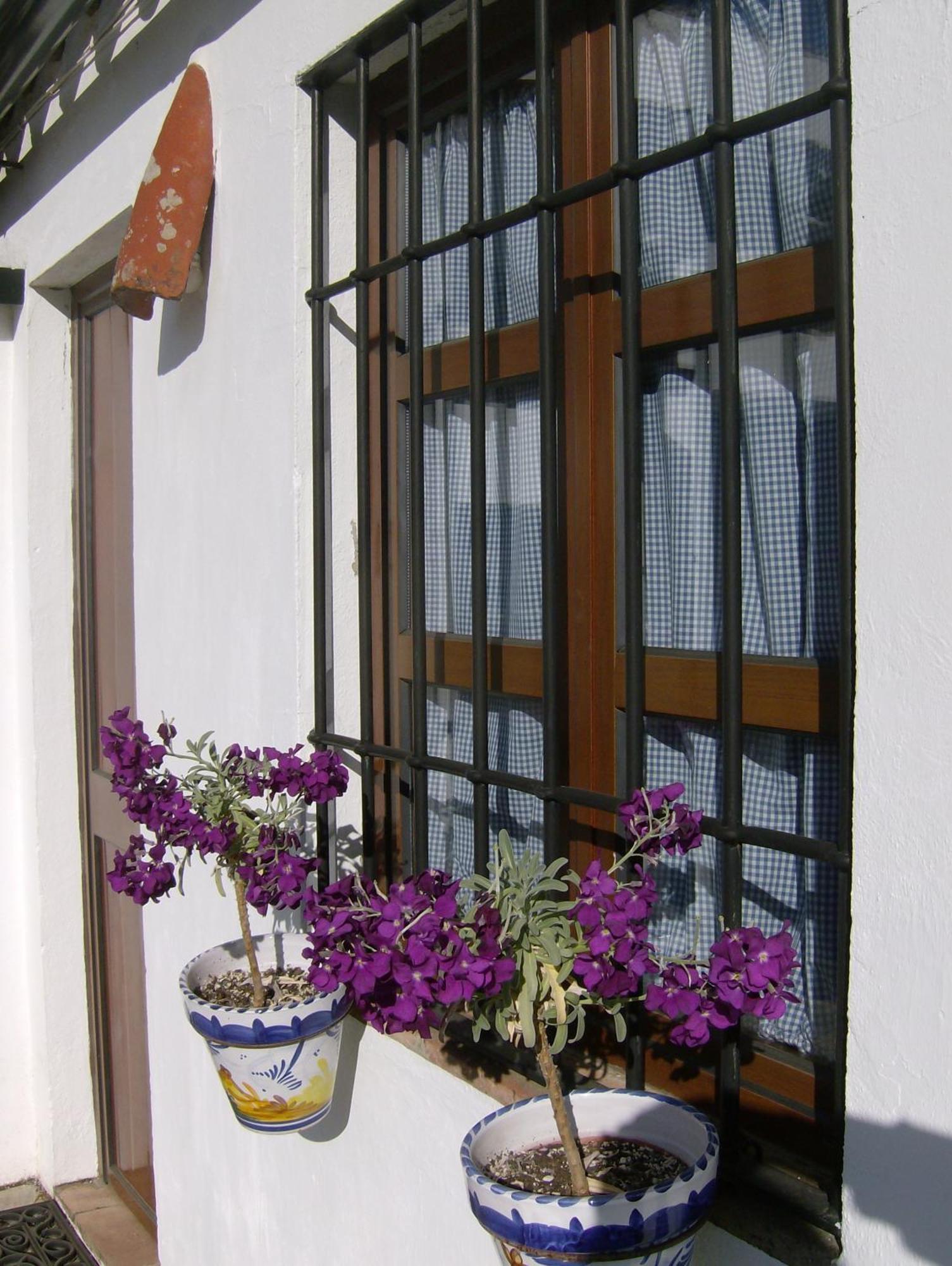 Gasthaus Casa Rural Y Restaurante Casa Adriano Alanís Exterior foto