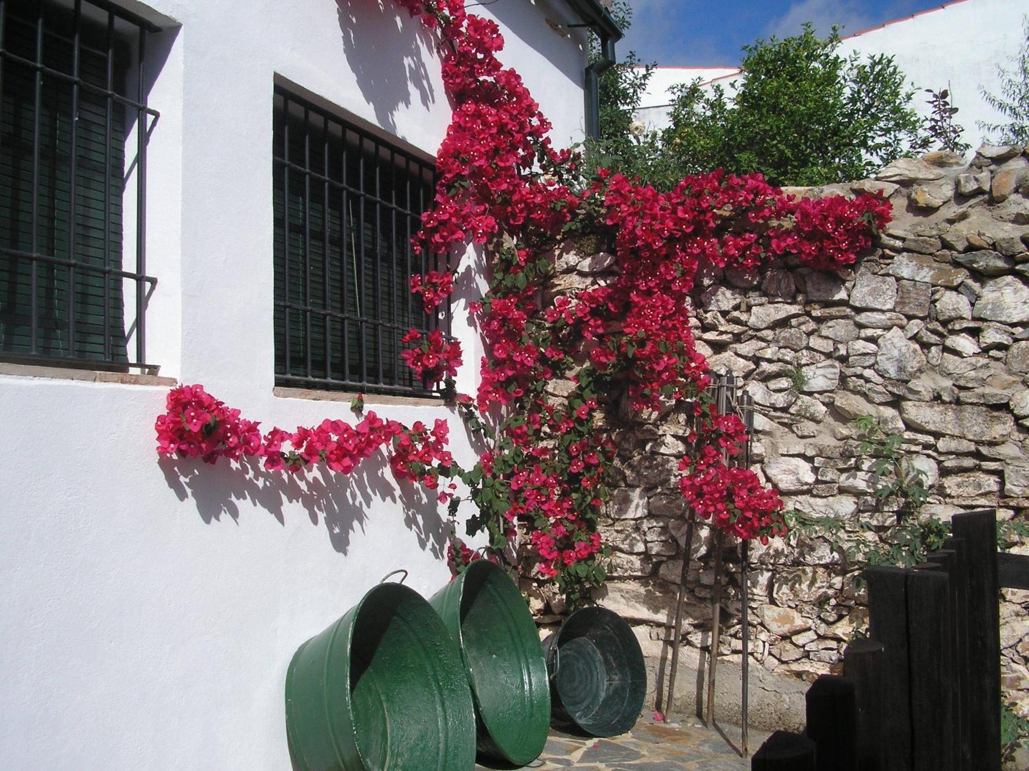 Gasthaus Casa Rural Y Restaurante Casa Adriano Alanís Exterior foto